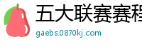 五大联赛赛程时间表2024年